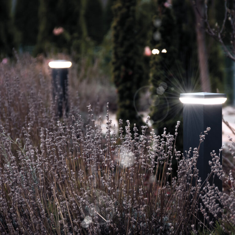 01 okladka_LED_2_flat