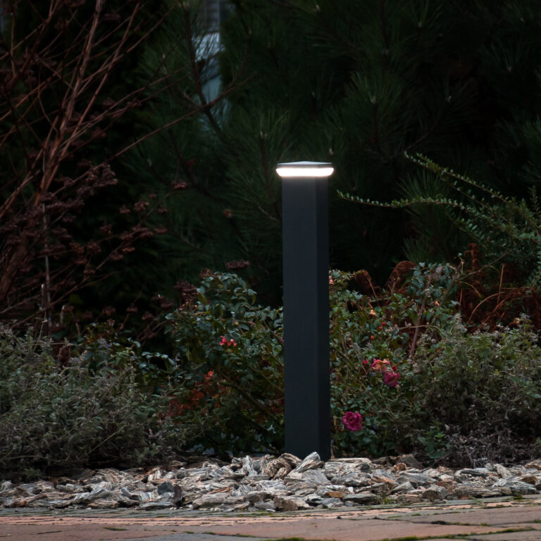 12 IMG_5088 (1) kopia