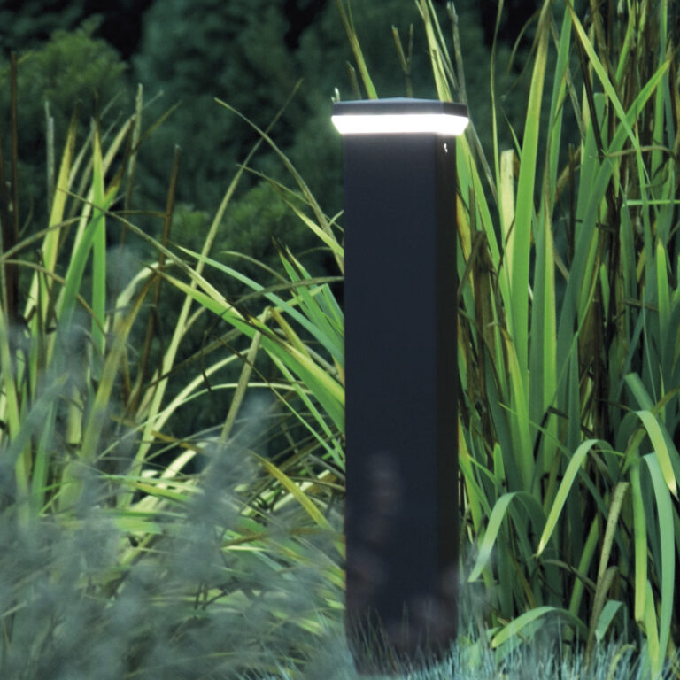 13 IMG_5085_flat kopia